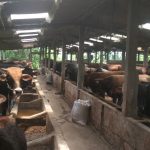 SAPI 2-2
