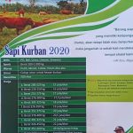 Jual Sapi Qurban 2020