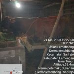 bursa ternak kurban 2023