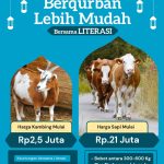 Sedia kambing kurban 2024