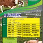 Sedia sapi kurban 2024
