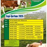 Sapi Kurban 2025
