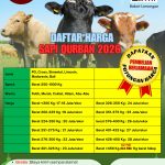 Sapi Kurban 2026
